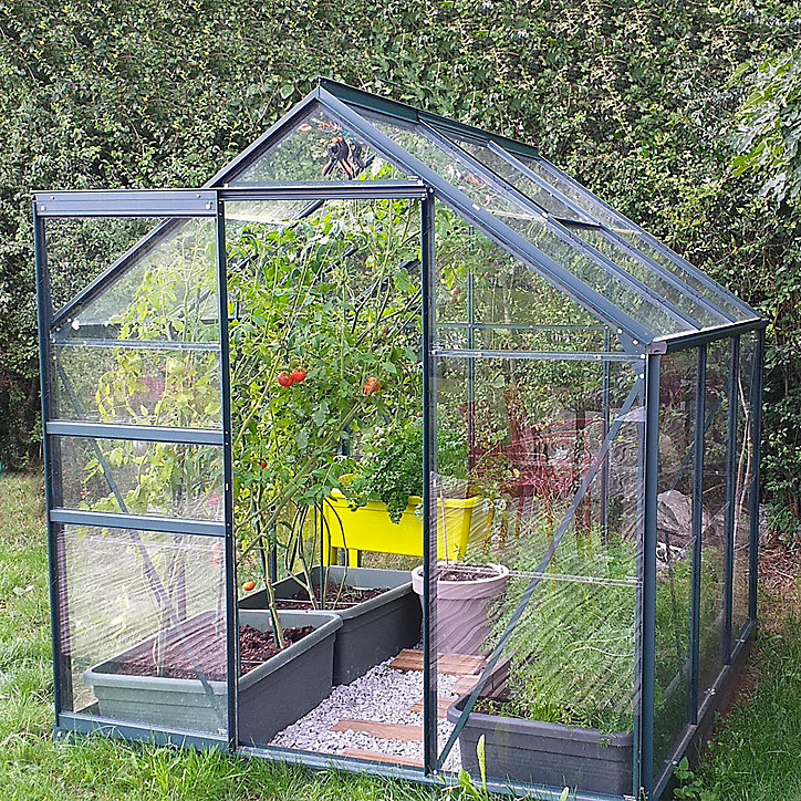 Serre en verre Lams Allium vert 3,70m²