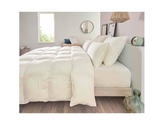 TOISON D'OR - Oreiller - pollux - confort ferme - 50x70cm