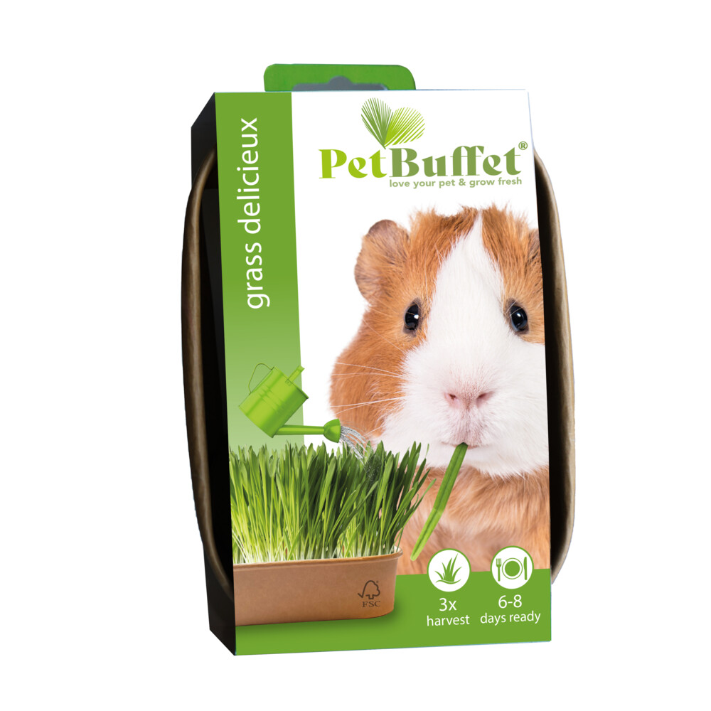 Baza Pet-Buffet Delisieux Cavia Set 3 x Kweken