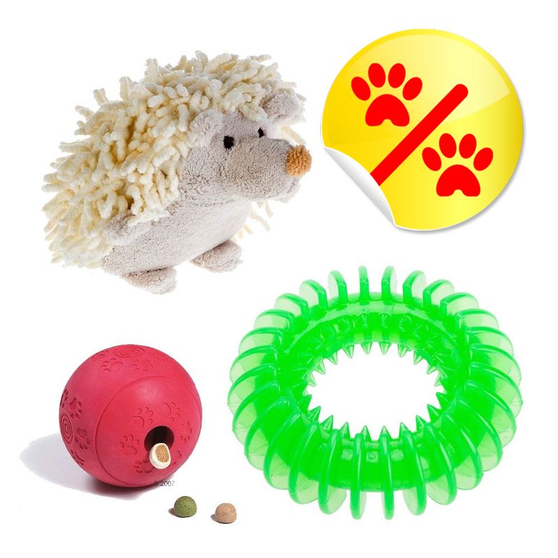 Lot de 3 jouets pour chien