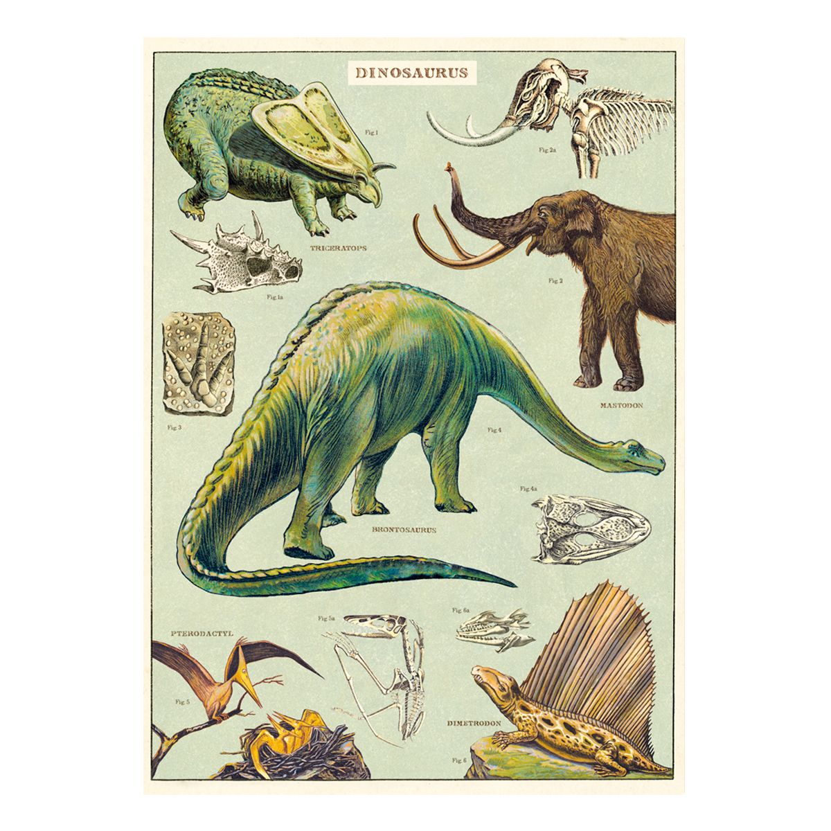 Affiche vintage dinosaures Letterbox
