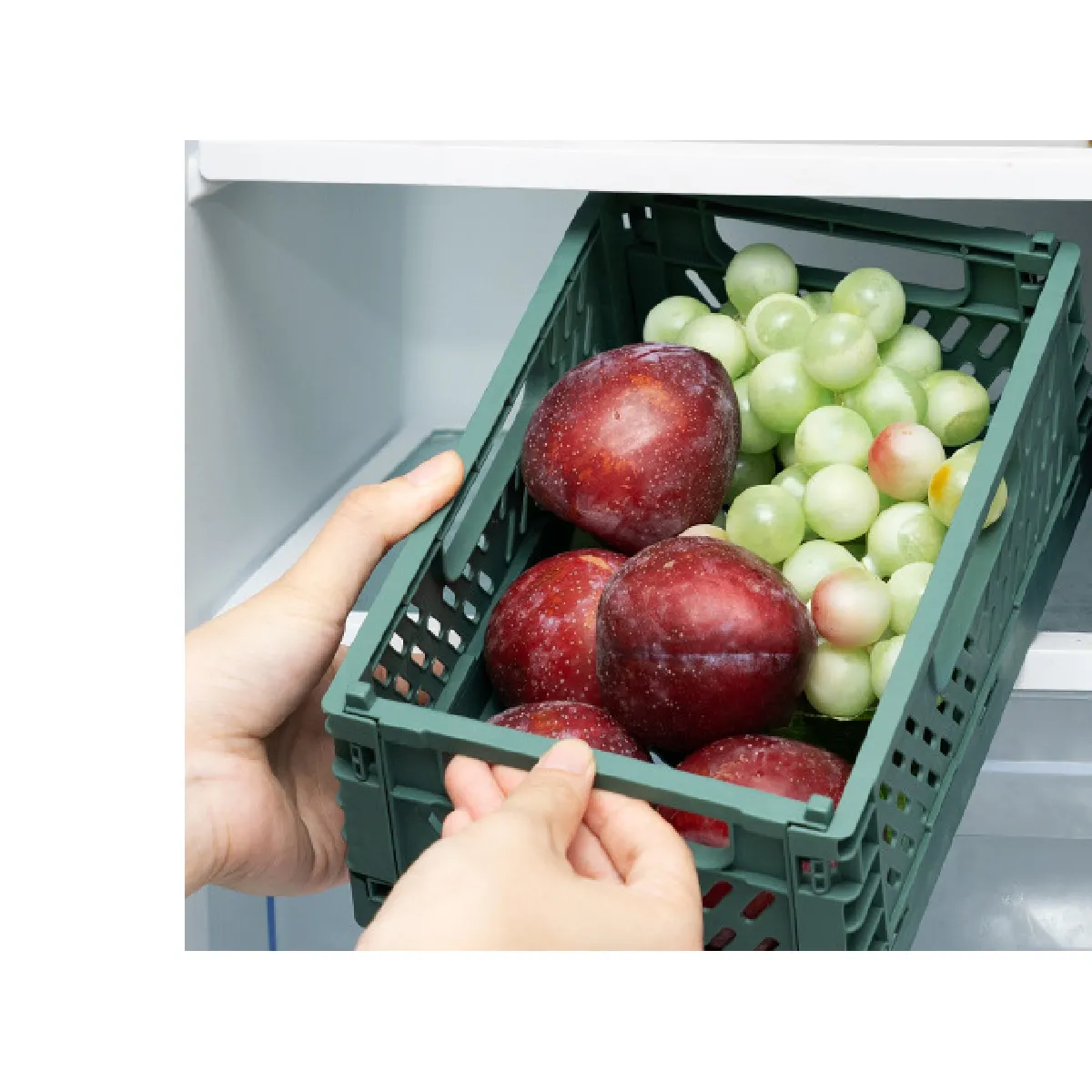 Universal Boîte de rangement en plastique - Vert foncé