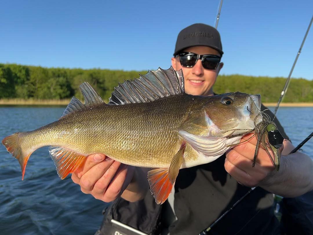 14g ChatterBait Mini Max (Z-Man)