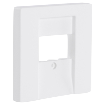 Busch-Jaeger Future Linear Afdekplaat USB Wit