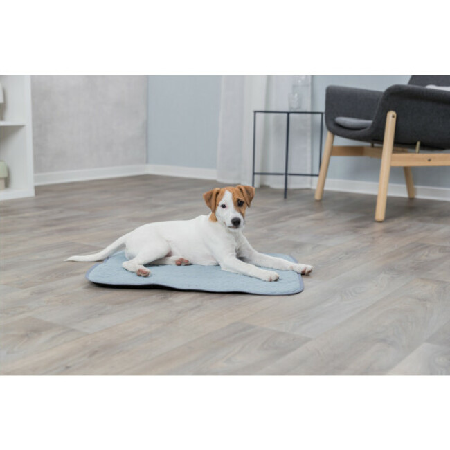 Junior Matelas Fresh Trixie