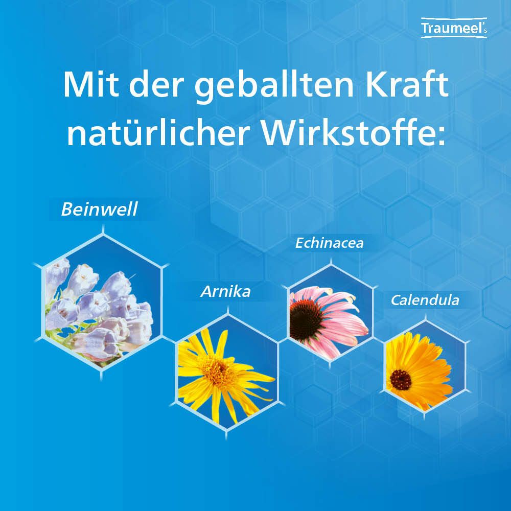 Traumeel® S 250 Tabletten + Traumeel® S 100 g Creme