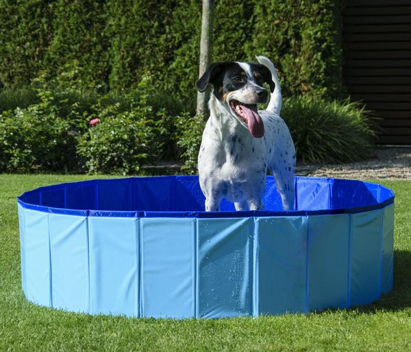 dobar® petlife Hundepool, blau, ca. Ø120/H30