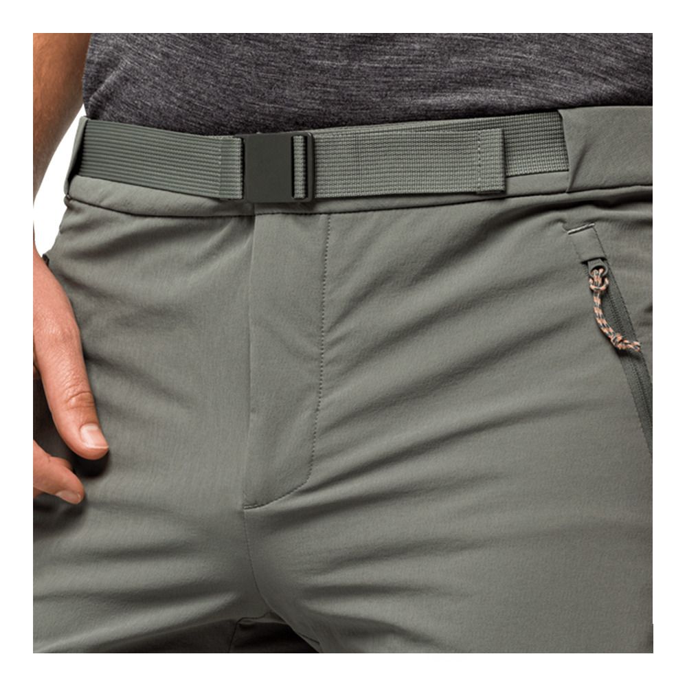 Jack Wolfskin ZIEGSPITZ - Short Homme gecko green