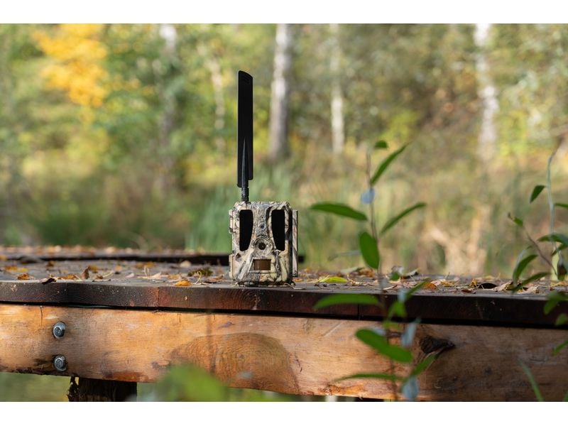 Dörr Kamera Wildkamera SnapShot Cloud Pro 4G WA Weitwinkel Überwachungskamera für hochauflösende Wildtierbeobachtung und Sicherheitsüberwachung