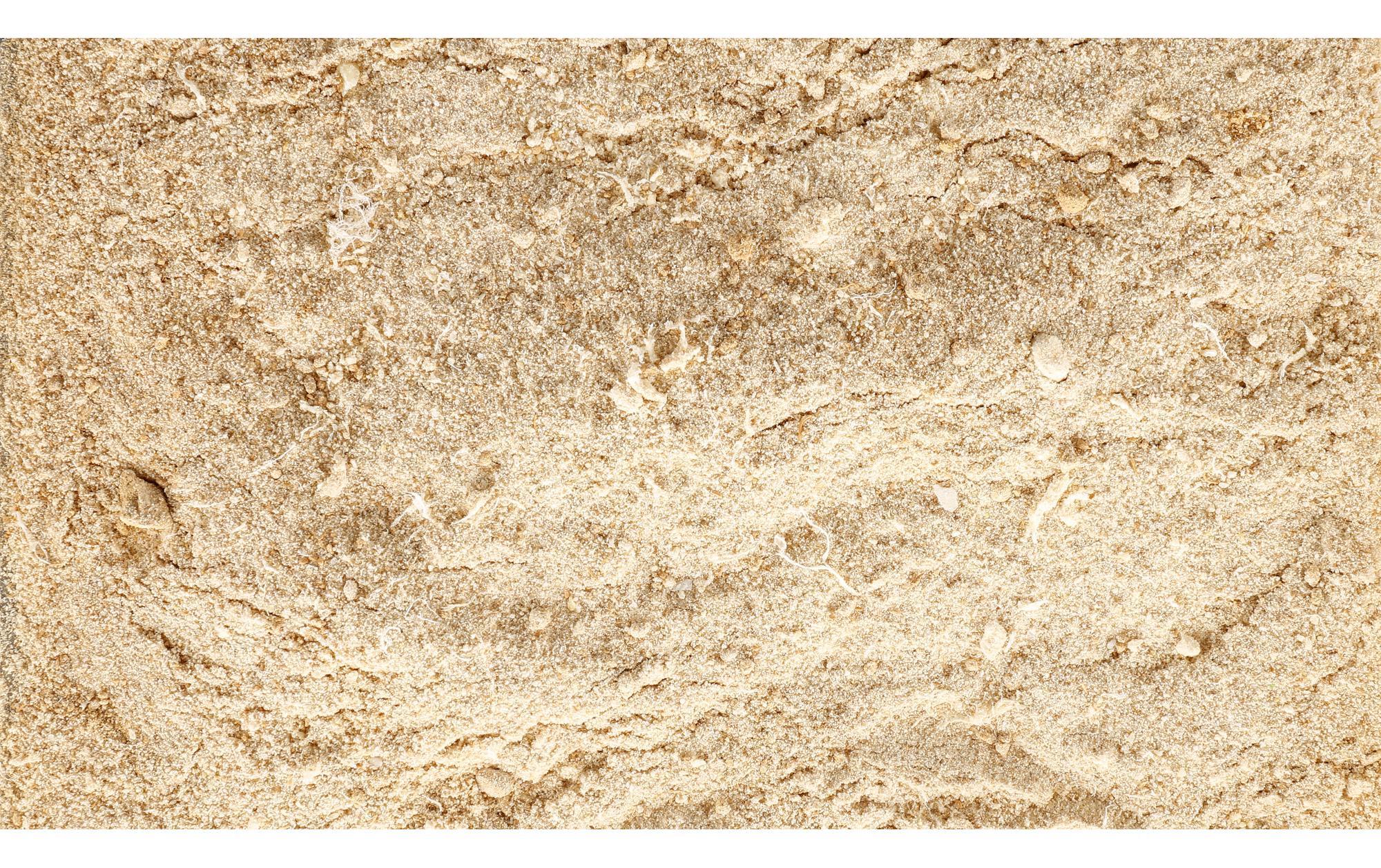 Hunde-Nahrungsergänzung Easy Barf Pro Active Pulver, 300 gCollagen und Grünlippmuschel für Hunde
