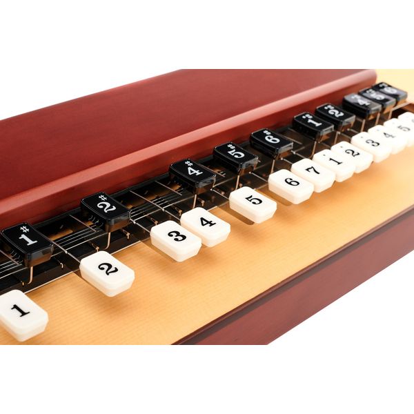 Suzuki Electric Taisho Harp TAS-11