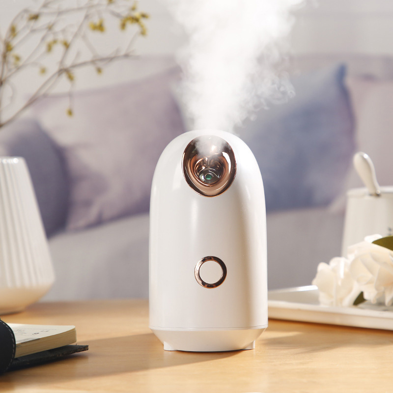 (40℃) Elektrischer Beauty Gesichts Steamer Feuchtigkeitsspendender Dampfer - Weiss / Rosa
