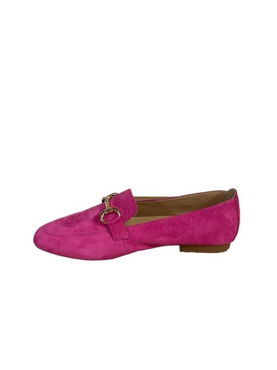 PS Poelman CLSHN2559 Rose