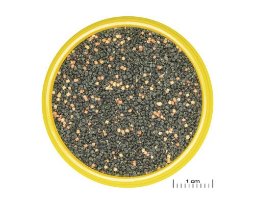 Korrelvoer JBL PRONOVO GUPPY GRANO maat S 100ml