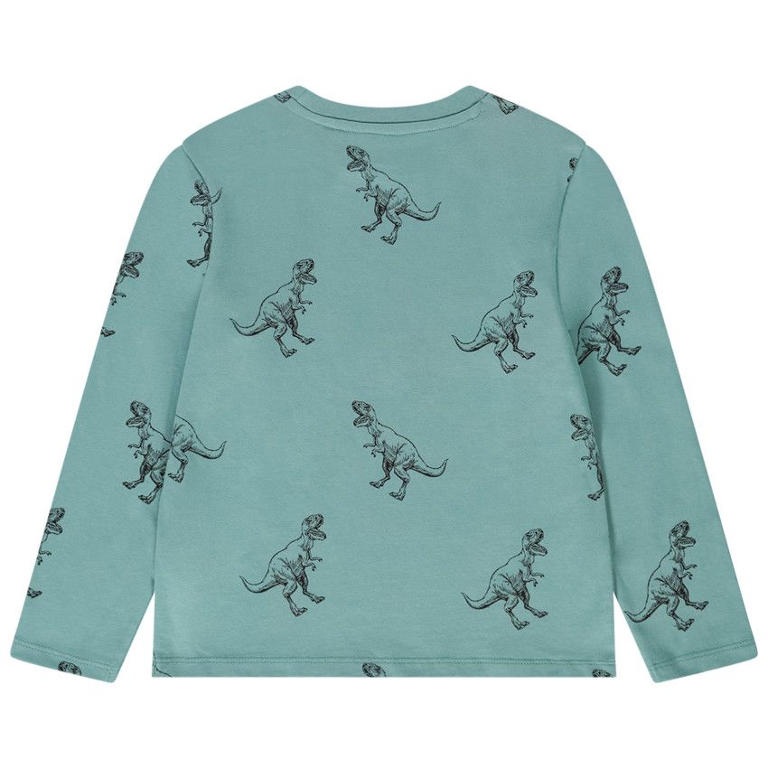 T-shirt manches longues imprimé fantaisie pour garçon - Kaki