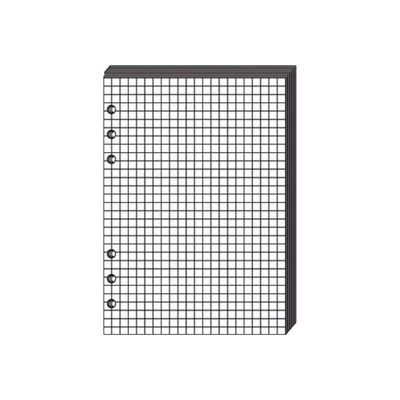 Quo Vadis Timer 17 - Recharge pour organiseur - 10 x 17 cm - bloc-notes blanc