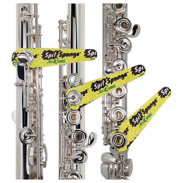 Key Leaves Spit Sponge Clarinet