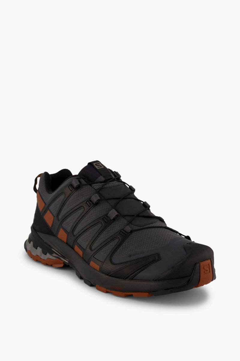 Salomon XA Pro 3D v8 Gore-Tex® Herren Trekkingschuh