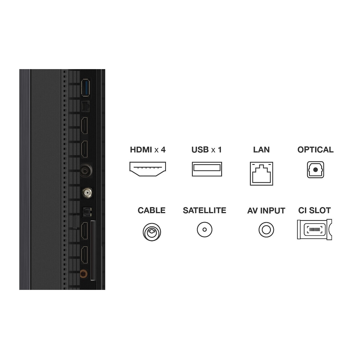 TCL 85