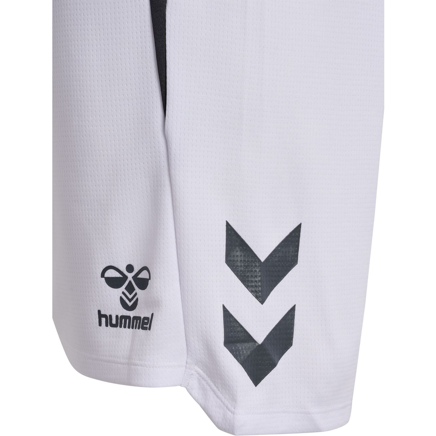 Hummel Lead 2.0 Shorts Heren