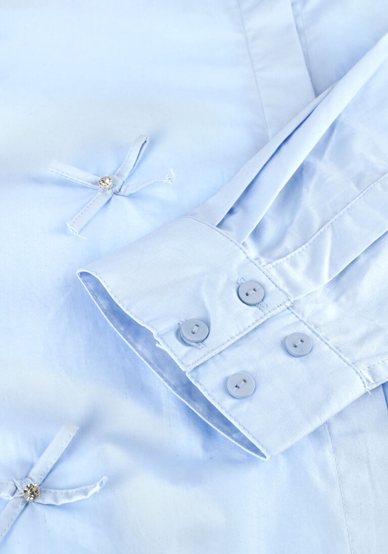 lichtblauwe copenhagen muse blouses cmvatan-shirt