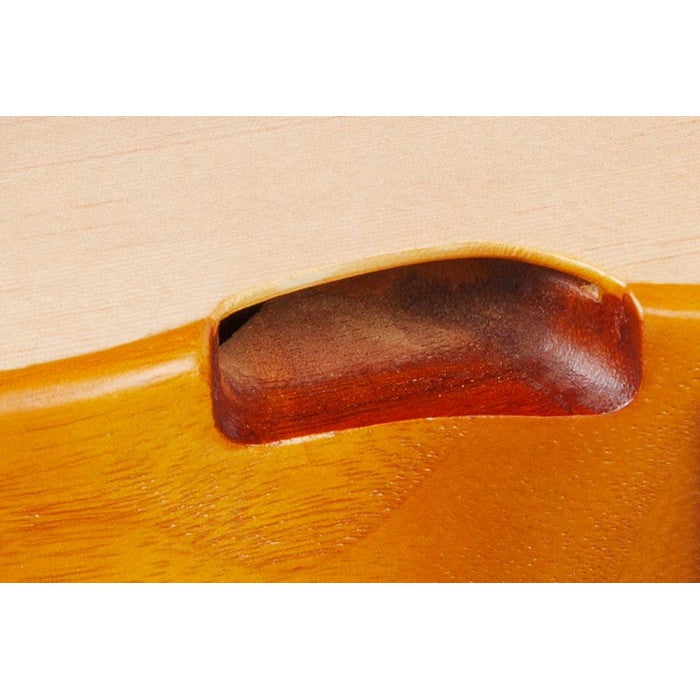 Ibanez AUT10 Open Pore Natural tenor ukelele met gigbag