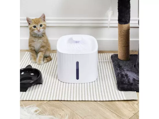 Fontaine A Eau Pour Chat