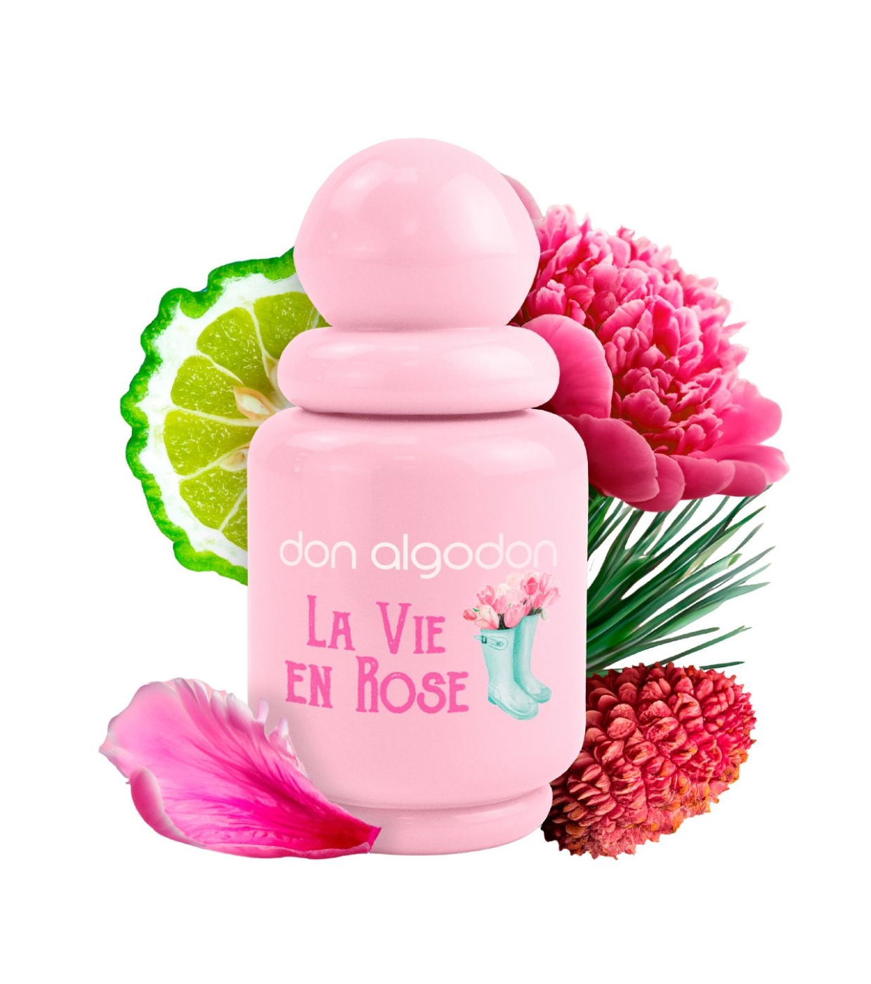 Don Algodon - Eau de toilette para mulheres - La Vie en Rose