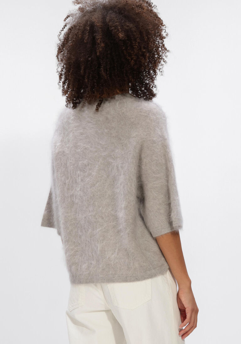grijze absolut cashmere trui jenna