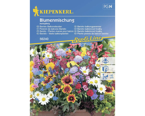 Kiepenkerl 'Baristo Balcony Perennial Mix' voor ca. 5 strekkende meter