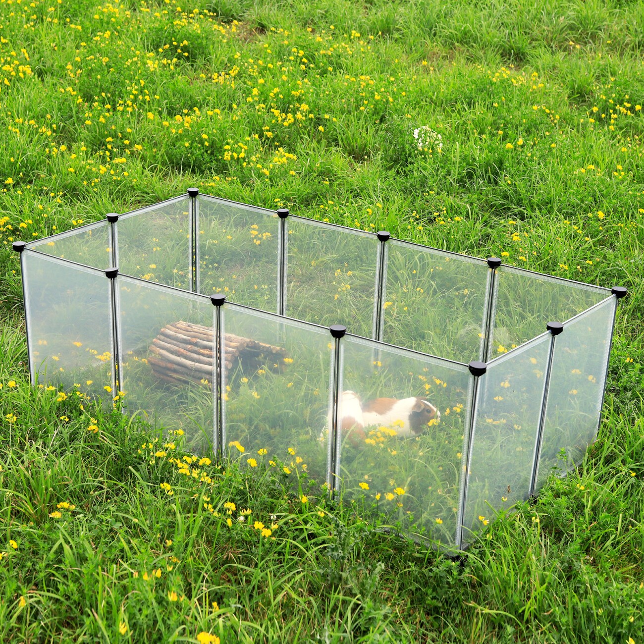 Lionto Freigehege ClearHome