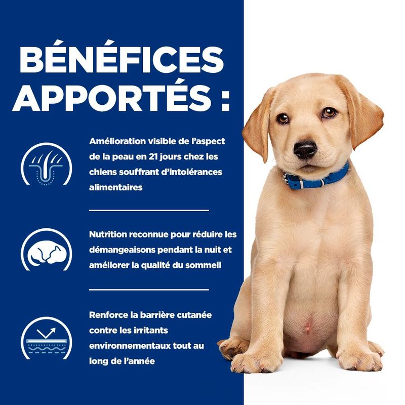 Hill's Prescription Diet Derm Complete Puppy