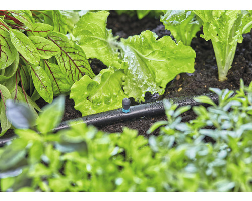 GARDENA Micro-Drip-System Sproeikop 90 Graden 5 st.