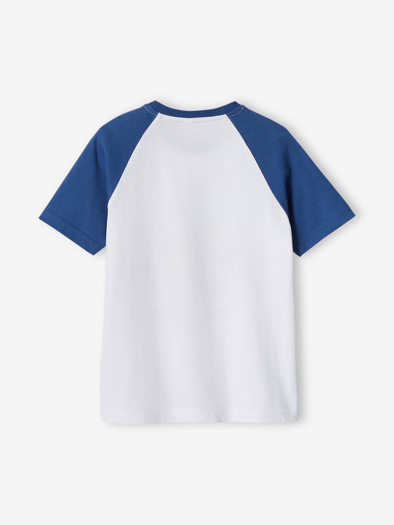 Camiseta raglan com estampa gráfica para meninos, verde salgueiro