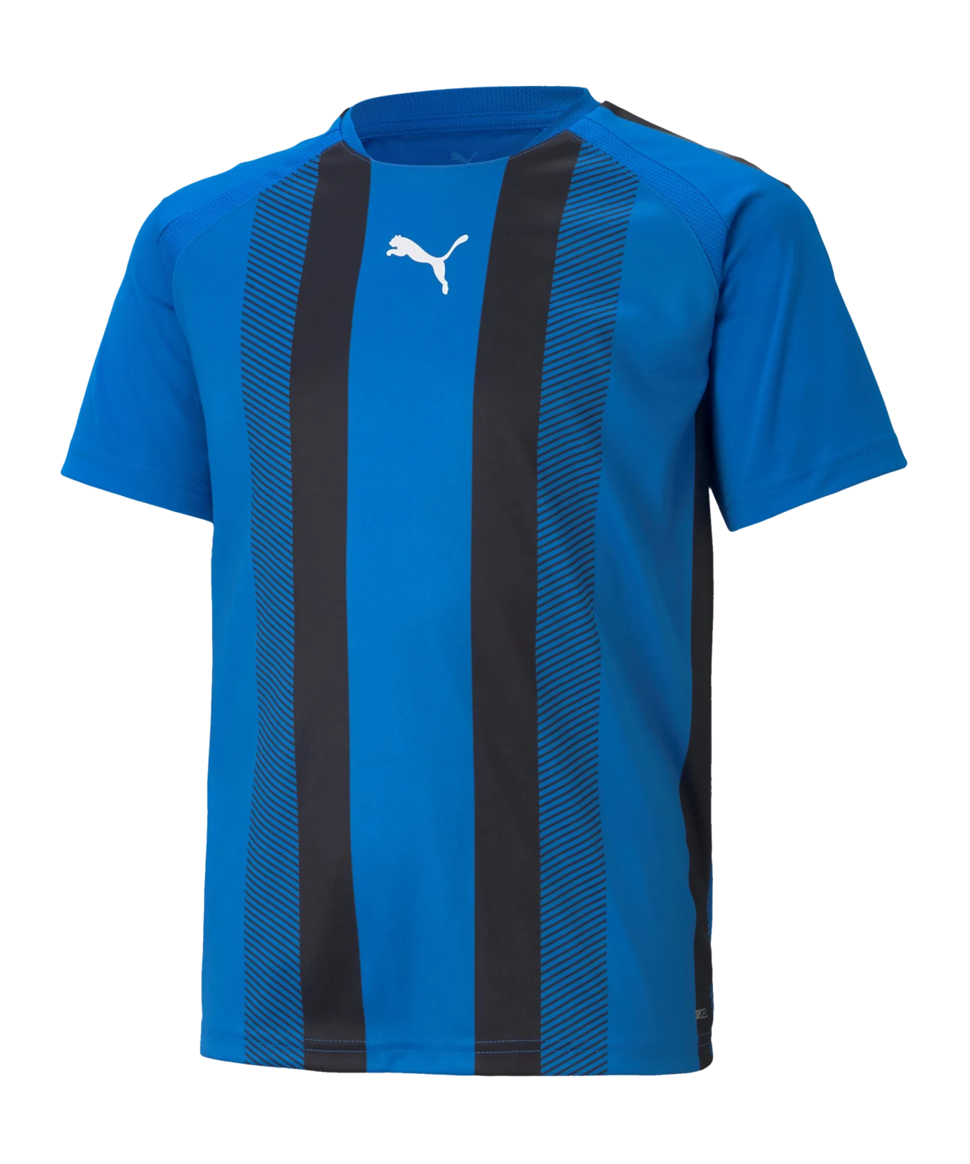 PUMA teamLIGA Striped Trikot Kids Blau Schwarz F02
