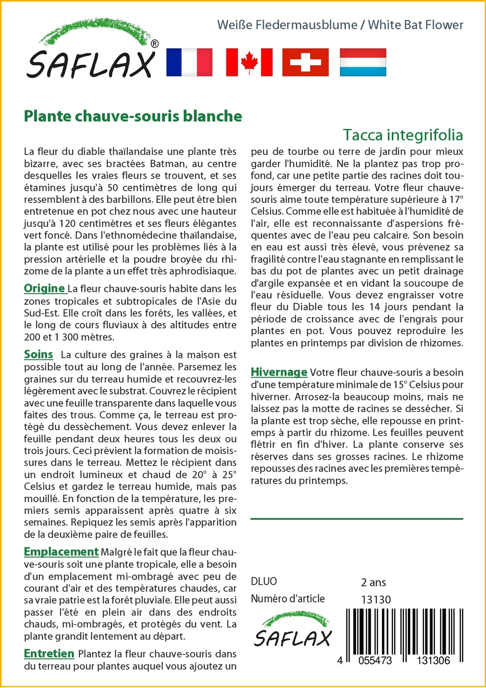 Jardin dans le sac - plante chauve-souris blanche - 10 graines - tacca integrifolia