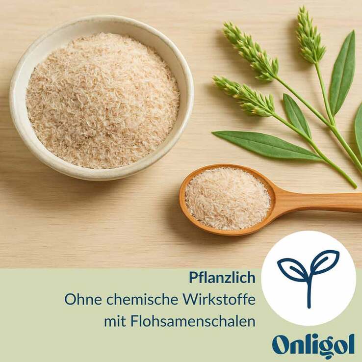 Onligol Fiber Pulver, 20X4.7 g