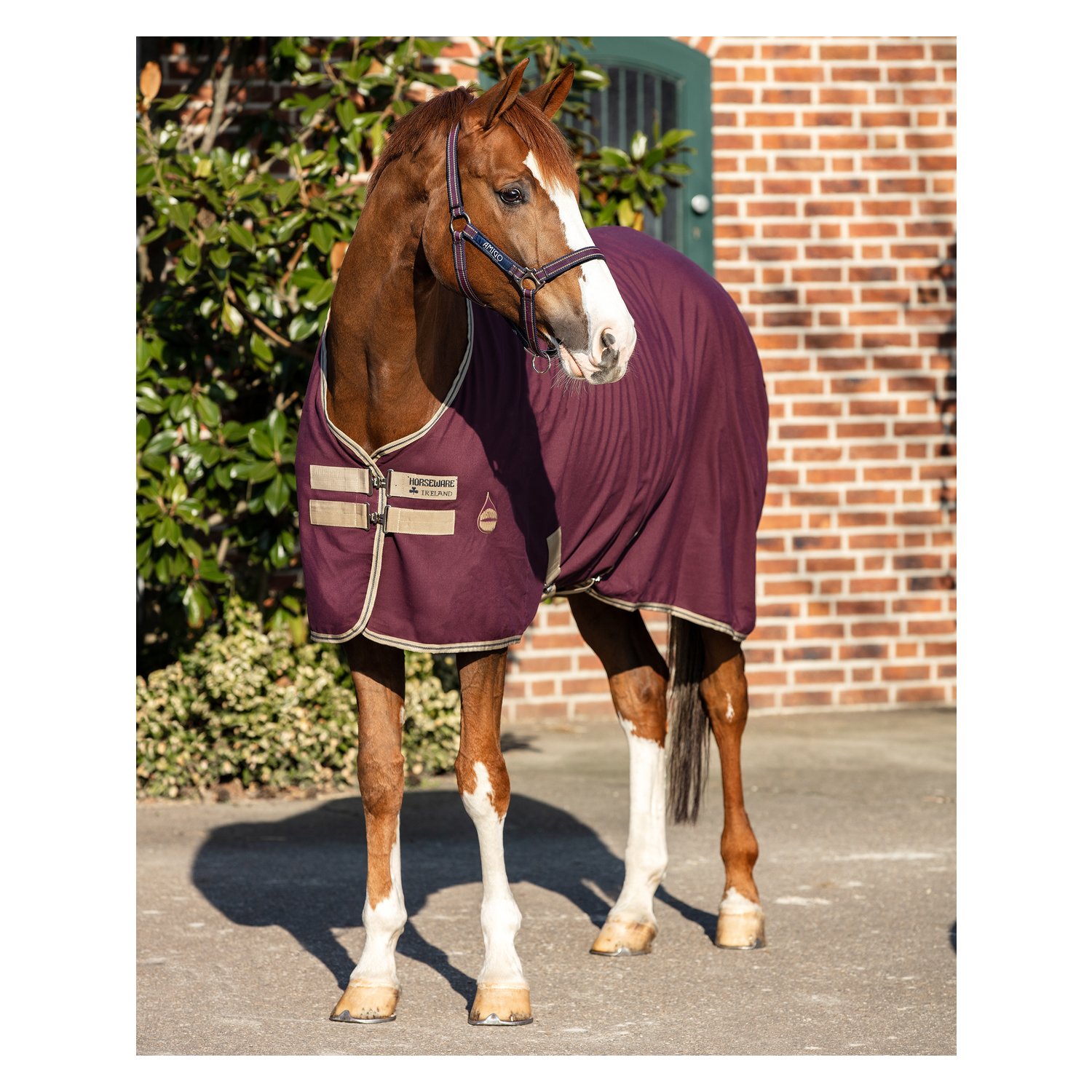 Horseware Stalldecke AMIGO Stable Sheet - feige/navy & tan