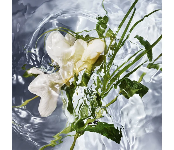 Guerlain Aqua Allegoria Herba Fresca Eau de Toilette