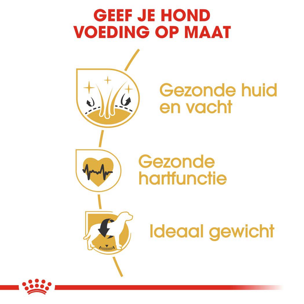 Royal Canin BHN Golden Retriever Adult - Hondenvoer - 12 Kilogram - gevogelte