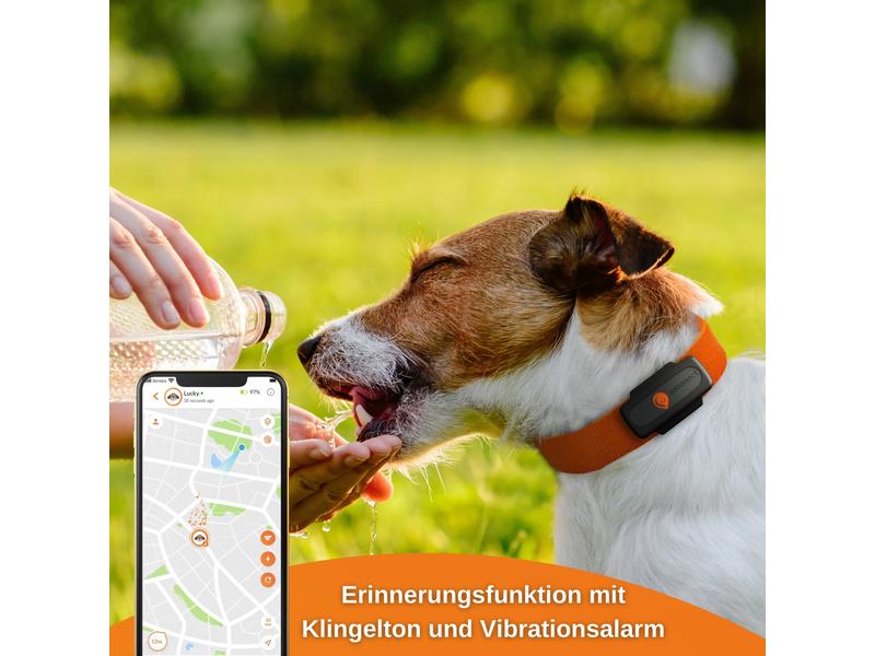 Weenect GPS-Tracker XS für Hunde, Schwarz Der kleinste GPS-Tracker für Hunde mit integrierter Taschenlampe
