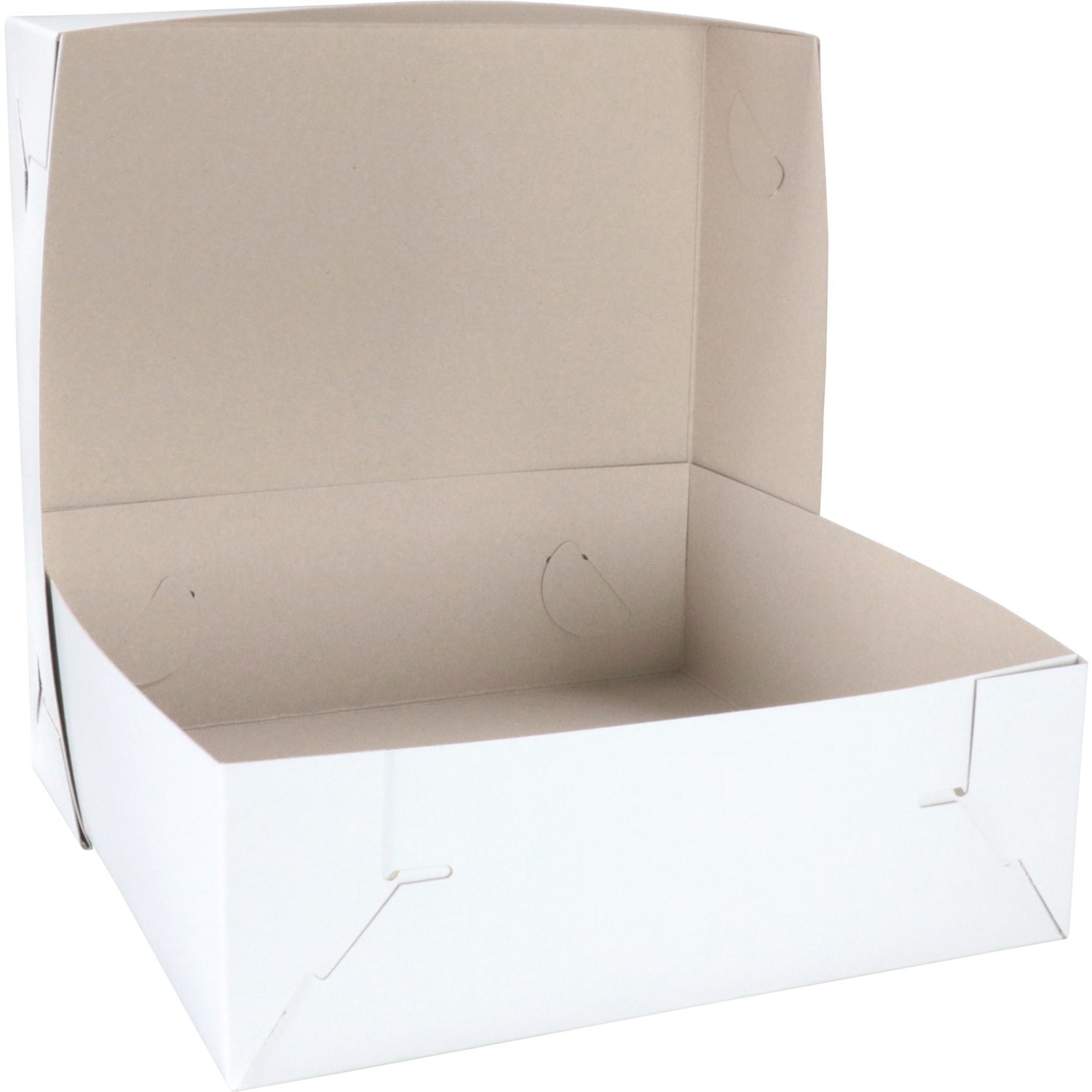Zwanenhals/ verzenddoos, karton, 30x30x10cm, duplex, wit