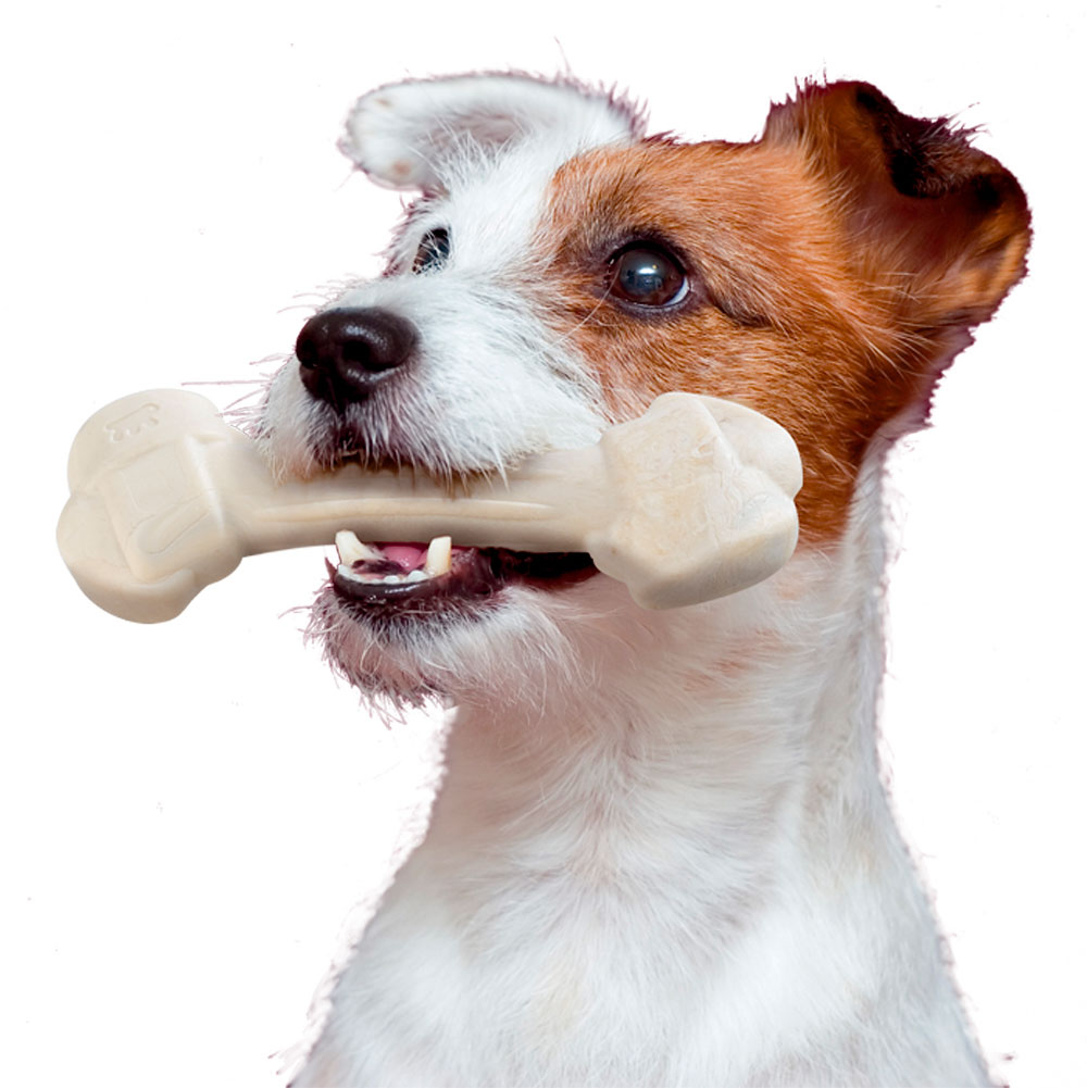 Ferplast goodbite natural xs jouet os pour l'hygiène dentaire, saveur de boeuf, chien petit (3-5 kg), naturel, 4 pièces de 15g