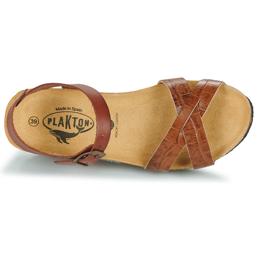 Plakton - SO FINAL Cognac