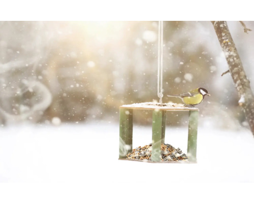 Wintervoer winterplezier strooivoer 25 kg
