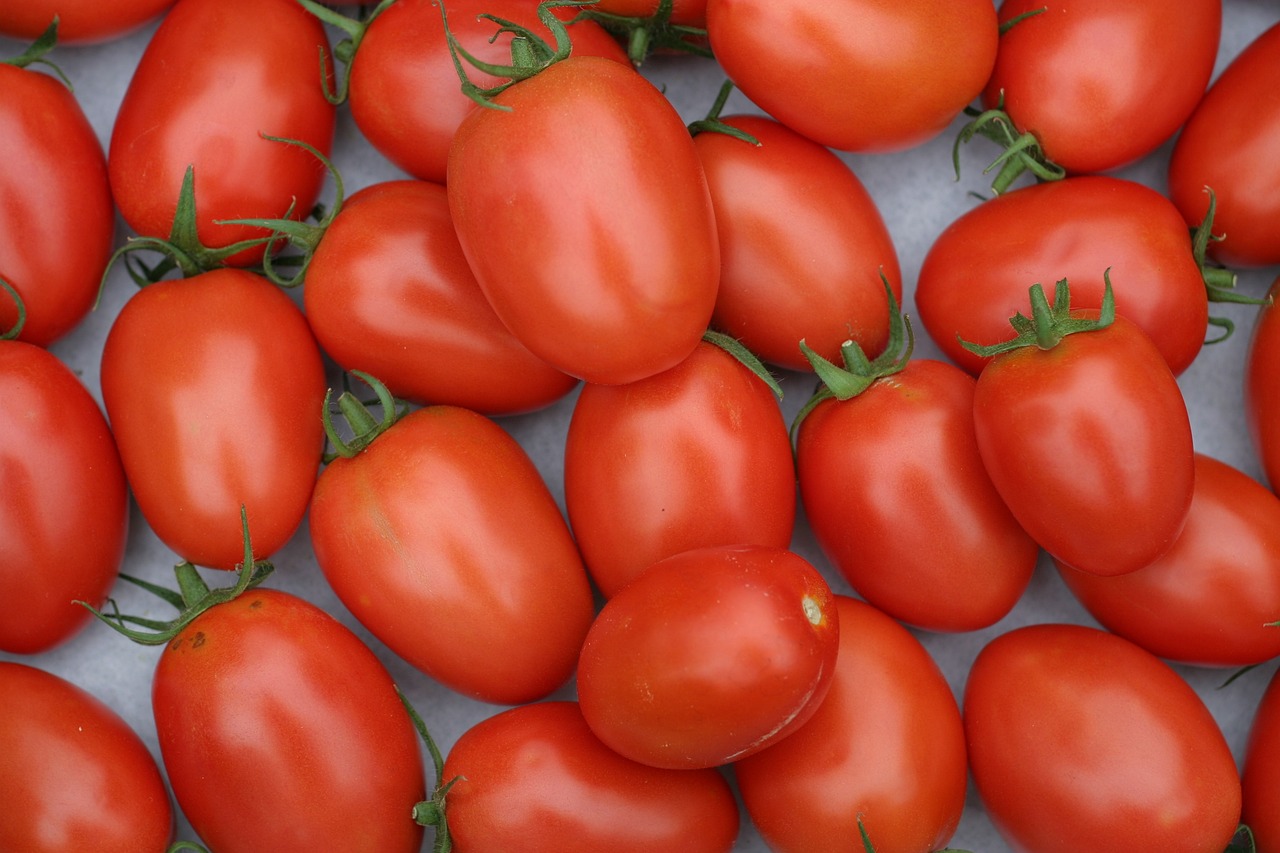 Sachet de graines de tomates roma - sachet de 1 grammes - petite entreprise française - made in france