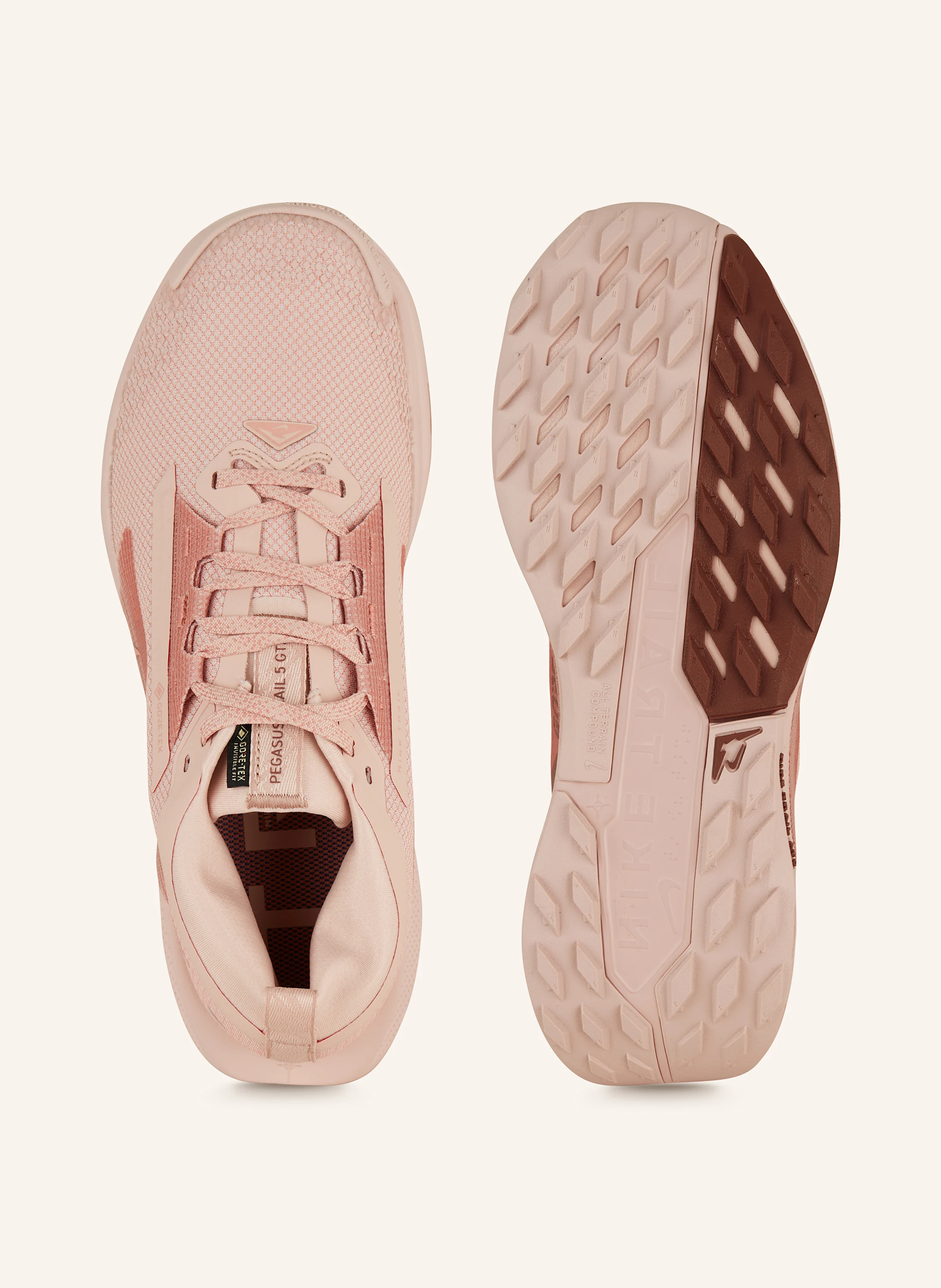 Nike Trailrunning-Schuhe PEGASUS TRAIL 5 GTX