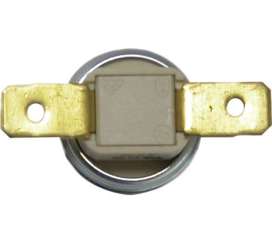 Reich Ersatzthermostat