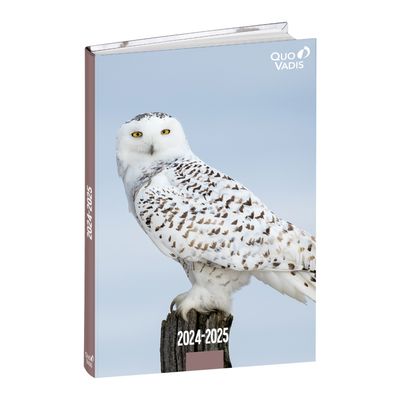 Agenda Mes Potes à pattes - 1 jour par page - 12 x 17 cm - différents modèles disponibles - Quo Vadis