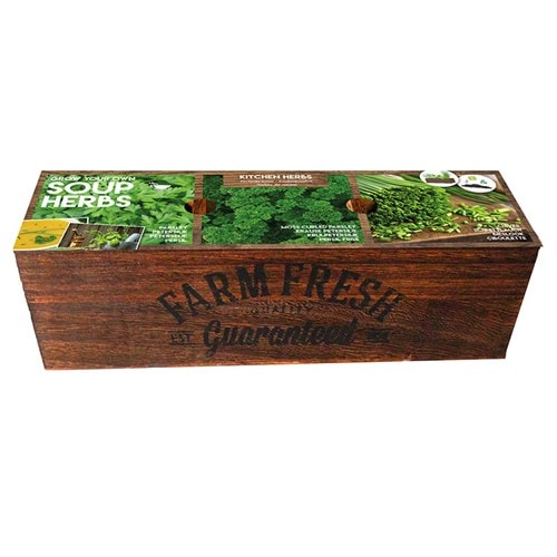 Kit prêt à pousser - herbes à soupes